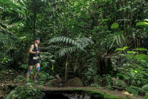 BIB: 
                            <button type="button" onclick="openModal(24841135)" class="btn btn-primary btn-sm float-right btn-popup" data-toggle="modal" data-target=".modal-high-quality">
                        <i class="fas fa-shopping-cart"></i> Add to Cart
                    </button>
                                            <button type="button" onclick="isThisMe(24841135, true)" class="btn btn-success btn-sm float-right btn-popup btn-isme hidden" data-toggle="tooltip" data-placement="bottom" title="นี่คือรูปของคุณใช่ไหม คลิกที่นี่เพื่อเอาเข้าอัลบั้ม">
                        <i class="fas fa-plus"></i> Add to album
                    </button>
                    <button type="button" onclick="isThisMe(24841135, false)" class="btn btn-warning btn-sm float-right btn-popup btn-isnotme hidden">
                        <i class="fas fa-ban"></i> Remove from album
                    </button>