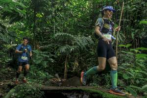 BIB: 
                            <button type="button" onclick="openModal(24841380)" class="btn btn-primary btn-sm float-right btn-popup" data-toggle="modal" data-target=".modal-high-quality">
                        <i class="fas fa-shopping-cart"></i> Add to Cart
                    </button>
                                            <button type="button" onclick="isThisMe(24841380, true)" class="btn btn-success btn-sm float-right btn-popup btn-isme hidden" data-toggle="tooltip" data-placement="bottom" title="นี่คือรูปของคุณใช่ไหม คลิกที่นี่เพื่อเอาเข้าอัลบั้ม">
                        <i class="fas fa-plus"></i> Add to album
                    </button>
                    <button type="button" onclick="isThisMe(24841380, false)" class="btn btn-warning btn-sm float-right btn-popup btn-isnotme hidden">
                        <i class="fas fa-ban"></i> Remove from album
                    </button>