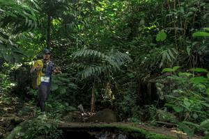 BIB: 
                            <button type="button" onclick="openModal(24841458)" class="btn btn-primary btn-sm float-right btn-popup" data-toggle="modal" data-target=".modal-high-quality">
                        <i class="fas fa-shopping-cart"></i> Add to Cart
                    </button>
                                            <button type="button" onclick="isThisMe(24841458, true)" class="btn btn-success btn-sm float-right btn-popup btn-isme hidden" data-toggle="tooltip" data-placement="bottom" title="นี่คือรูปของคุณใช่ไหม คลิกที่นี่เพื่อเอาเข้าอัลบั้ม">
                        <i class="fas fa-plus"></i> Add to album
                    </button>
                    <button type="button" onclick="isThisMe(24841458, false)" class="btn btn-warning btn-sm float-right btn-popup btn-isnotme hidden">
                        <i class="fas fa-ban"></i> Remove from album
                    </button>