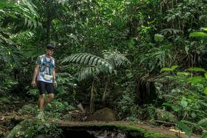 BIB: 
                            <button type="button" onclick="openModal(24841215)" class="btn btn-primary btn-sm float-right btn-popup" data-toggle="modal" data-target=".modal-high-quality">
                        <i class="fas fa-shopping-cart"></i> Add to Cart
                    </button>
                                            <button type="button" onclick="isThisMe(24841215, true)" class="btn btn-success btn-sm float-right btn-popup btn-isme hidden" data-toggle="tooltip" data-placement="bottom" title="นี่คือรูปของคุณใช่ไหม คลิกที่นี่เพื่อเอาเข้าอัลบั้ม">
                        <i class="fas fa-plus"></i> Add to album
                    </button>
                    <button type="button" onclick="isThisMe(24841215, false)" class="btn btn-warning btn-sm float-right btn-popup btn-isnotme hidden">
                        <i class="fas fa-ban"></i> Remove from album
                    </button>