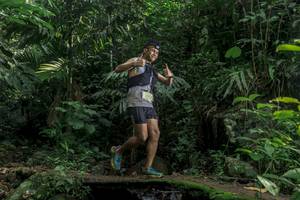 BIB: 
                            <button type="button" onclick="openModal(24840391)" class="btn btn-primary btn-sm float-right btn-popup" data-toggle="modal" data-target=".modal-high-quality">
                        <i class="fas fa-shopping-cart"></i> Add to Cart
                    </button>
                                            <button type="button" onclick="isThisMe(24840391, true)" class="btn btn-success btn-sm float-right btn-popup btn-isme hidden" data-toggle="tooltip" data-placement="bottom" title="นี่คือรูปของคุณใช่ไหม คลิกที่นี่เพื่อเอาเข้าอัลบั้ม">
                        <i class="fas fa-plus"></i> Add to album
                    </button>
                    <button type="button" onclick="isThisMe(24840391, false)" class="btn btn-warning btn-sm float-right btn-popup btn-isnotme hidden">
                        <i class="fas fa-ban"></i> Remove from album
                    </button>