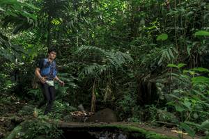 BIB: 
                            <button type="button" onclick="openModal(24841312)" class="btn btn-primary btn-sm float-right btn-popup" data-toggle="modal" data-target=".modal-high-quality">
                        <i class="fas fa-shopping-cart"></i> Add to Cart
                    </button>
                                            <button type="button" onclick="isThisMe(24841312, true)" class="btn btn-success btn-sm float-right btn-popup btn-isme hidden" data-toggle="tooltip" data-placement="bottom" title="นี่คือรูปของคุณใช่ไหม คลิกที่นี่เพื่อเอาเข้าอัลบั้ม">
                        <i class="fas fa-plus"></i> Add to album
                    </button>
                    <button type="button" onclick="isThisMe(24841312, false)" class="btn btn-warning btn-sm float-right btn-popup btn-isnotme hidden">
                        <i class="fas fa-ban"></i> Remove from album
                    </button>