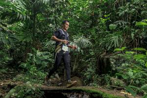 BIB: 213
                            <button type="button" onclick="openModal(24841209)" class="btn btn-primary btn-sm float-right btn-popup" data-toggle="modal" data-target=".modal-high-quality">
                        <i class="fas fa-shopping-cart"></i> Add to Cart
                    </button>
                                            <button type="button" onclick="isThisMe(24841209, true)" class="btn btn-success btn-sm float-right btn-popup btn-isme hidden" data-toggle="tooltip" data-placement="bottom" title="นี่คือรูปของคุณใช่ไหม คลิกที่นี่เพื่อเอาเข้าอัลบั้ม">
                        <i class="fas fa-plus"></i> Add to album
                    </button>
                    <button type="button" onclick="isThisMe(24841209, false)" class="btn btn-warning btn-sm float-right btn-popup btn-isnotme hidden">
                        <i class="fas fa-ban"></i> Remove from album
                    </button>