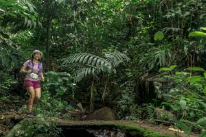 BIB: 
                            <button type="button" onclick="openModal(24841159)" class="btn btn-primary btn-sm float-right btn-popup" data-toggle="modal" data-target=".modal-high-quality">
                        <i class="fas fa-shopping-cart"></i> Add to Cart
                    </button>
                                            <button type="button" onclick="isThisMe(24841159, true)" class="btn btn-success btn-sm float-right btn-popup btn-isme hidden" data-toggle="tooltip" data-placement="bottom" title="นี่คือรูปของคุณใช่ไหม คลิกที่นี่เพื่อเอาเข้าอัลบั้ม">
                        <i class="fas fa-plus"></i> Add to album
                    </button>
                    <button type="button" onclick="isThisMe(24841159, false)" class="btn btn-warning btn-sm float-right btn-popup btn-isnotme hidden">
                        <i class="fas fa-ban"></i> Remove from album
                    </button>