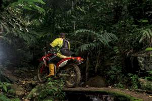 BIB: 
                            <button type="button" onclick="openModal(24839178)" class="btn btn-primary btn-sm float-right btn-popup" data-toggle="modal" data-target=".modal-high-quality">
                        <i class="fas fa-shopping-cart"></i> Add to Cart
                    </button>
                                            <button type="button" onclick="isThisMe(24839178, true)" class="btn btn-success btn-sm float-right btn-popup btn-isme hidden" data-toggle="tooltip" data-placement="bottom" title="นี่คือรูปของคุณใช่ไหม คลิกที่นี่เพื่อเอาเข้าอัลบั้ม">
                        <i class="fas fa-plus"></i> Add to album
                    </button>
                    <button type="button" onclick="isThisMe(24839178, false)" class="btn btn-warning btn-sm float-right btn-popup btn-isnotme hidden">
                        <i class="fas fa-ban"></i> Remove from album
                    </button>