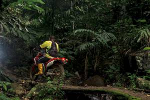 BIB: 
                            <button type="button" onclick="openModal(24839179)" class="btn btn-primary btn-sm float-right btn-popup" data-toggle="modal" data-target=".modal-high-quality">
                        <i class="fas fa-shopping-cart"></i> Add to Cart
                    </button>
                                            <button type="button" onclick="isThisMe(24839179, true)" class="btn btn-success btn-sm float-right btn-popup btn-isme hidden" data-toggle="tooltip" data-placement="bottom" title="นี่คือรูปของคุณใช่ไหม คลิกที่นี่เพื่อเอาเข้าอัลบั้ม">
                        <i class="fas fa-plus"></i> Add to album
                    </button>
                    <button type="button" onclick="isThisMe(24839179, false)" class="btn btn-warning btn-sm float-right btn-popup btn-isnotme hidden">
                        <i class="fas fa-ban"></i> Remove from album
                    </button>