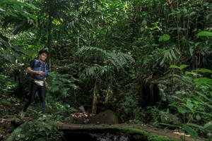 BIB: 
                            <button type="button" onclick="openModal(24841311)" class="btn btn-primary btn-sm float-right btn-popup" data-toggle="modal" data-target=".modal-high-quality">
                        <i class="fas fa-shopping-cart"></i> Add to Cart
                    </button>
                                            <button type="button" onclick="isThisMe(24841311, true)" class="btn btn-success btn-sm float-right btn-popup btn-isme hidden" data-toggle="tooltip" data-placement="bottom" title="นี่คือรูปของคุณใช่ไหม คลิกที่นี่เพื่อเอาเข้าอัลบั้ม">
                        <i class="fas fa-plus"></i> Add to album
                    </button>
                    <button type="button" onclick="isThisMe(24841311, false)" class="btn btn-warning btn-sm float-right btn-popup btn-isnotme hidden">
                        <i class="fas fa-ban"></i> Remove from album
                    </button>