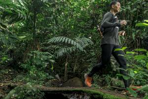 BIB: 
                            <button type="button" onclick="openModal(24841126)" class="btn btn-primary btn-sm float-right btn-popup" data-toggle="modal" data-target=".modal-high-quality">
                        <i class="fas fa-shopping-cart"></i> Add to Cart
                    </button>
                                            <button type="button" onclick="isThisMe(24841126, true)" class="btn btn-success btn-sm float-right btn-popup btn-isme hidden" data-toggle="tooltip" data-placement="bottom" title="นี่คือรูปของคุณใช่ไหม คลิกที่นี่เพื่อเอาเข้าอัลบั้ม">
                        <i class="fas fa-plus"></i> Add to album
                    </button>
                    <button type="button" onclick="isThisMe(24841126, false)" class="btn btn-warning btn-sm float-right btn-popup btn-isnotme hidden">
                        <i class="fas fa-ban"></i> Remove from album
                    </button>