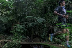 BIB: 
                            <button type="button" onclick="openModal(24840167)" class="btn btn-primary btn-sm float-right btn-popup" data-toggle="modal" data-target=".modal-high-quality">
                        <i class="fas fa-shopping-cart"></i> Add to Cart
                    </button>
                                            <button type="button" onclick="isThisMe(24840167, true)" class="btn btn-success btn-sm float-right btn-popup btn-isme hidden" data-toggle="tooltip" data-placement="bottom" title="นี่คือรูปของคุณใช่ไหม คลิกที่นี่เพื่อเอาเข้าอัลบั้ม">
                        <i class="fas fa-plus"></i> Add to album
                    </button>
                    <button type="button" onclick="isThisMe(24840167, false)" class="btn btn-warning btn-sm float-right btn-popup btn-isnotme hidden">
                        <i class="fas fa-ban"></i> Remove from album
                    </button>