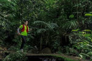 BIB: 
                            <button type="button" onclick="openModal(24840584)" class="btn btn-primary btn-sm float-right btn-popup" data-toggle="modal" data-target=".modal-high-quality">
                        <i class="fas fa-shopping-cart"></i> Add to Cart
                    </button>
                                            <button type="button" onclick="isThisMe(24840584, true)" class="btn btn-success btn-sm float-right btn-popup btn-isme hidden" data-toggle="tooltip" data-placement="bottom" title="นี่คือรูปของคุณใช่ไหม คลิกที่นี่เพื่อเอาเข้าอัลบั้ม">
                        <i class="fas fa-plus"></i> Add to album
                    </button>
                    <button type="button" onclick="isThisMe(24840584, false)" class="btn btn-warning btn-sm float-right btn-popup btn-isnotme hidden">
                        <i class="fas fa-ban"></i> Remove from album
                    </button>