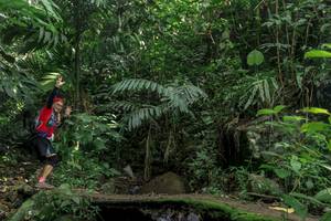 BIB: 
                            <button type="button" onclick="openModal(24840970)" class="btn btn-primary btn-sm float-right btn-popup" data-toggle="modal" data-target=".modal-high-quality">
                        <i class="fas fa-shopping-cart"></i> Add to Cart
                    </button>
                                            <button type="button" onclick="isThisMe(24840970, true)" class="btn btn-success btn-sm float-right btn-popup btn-isme hidden" data-toggle="tooltip" data-placement="bottom" title="นี่คือรูปของคุณใช่ไหม คลิกที่นี่เพื่อเอาเข้าอัลบั้ม">
                        <i class="fas fa-plus"></i> Add to album
                    </button>
                    <button type="button" onclick="isThisMe(24840970, false)" class="btn btn-warning btn-sm float-right btn-popup btn-isnotme hidden">
                        <i class="fas fa-ban"></i> Remove from album
                    </button>