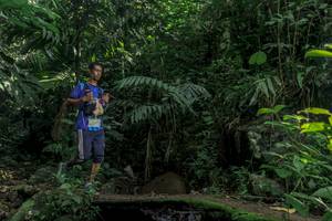 BIB: 
                            <button type="button" onclick="openModal(24840486)" class="btn btn-primary btn-sm float-right btn-popup" data-toggle="modal" data-target=".modal-high-quality">
                        <i class="fas fa-shopping-cart"></i> Add to Cart
                    </button>
                                            <button type="button" onclick="isThisMe(24840486, true)" class="btn btn-success btn-sm float-right btn-popup btn-isme hidden" data-toggle="tooltip" data-placement="bottom" title="นี่คือรูปของคุณใช่ไหม คลิกที่นี่เพื่อเอาเข้าอัลบั้ม">
                        <i class="fas fa-plus"></i> Add to album
                    </button>
                    <button type="button" onclick="isThisMe(24840486, false)" class="btn btn-warning btn-sm float-right btn-popup btn-isnotme hidden">
                        <i class="fas fa-ban"></i> Remove from album
                    </button>