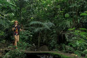 BIB: 
                            <button type="button" onclick="openModal(24841051)" class="btn btn-primary btn-sm float-right btn-popup" data-toggle="modal" data-target=".modal-high-quality">
                        <i class="fas fa-shopping-cart"></i> Add to Cart
                    </button>
                                            <button type="button" onclick="isThisMe(24841051, true)" class="btn btn-success btn-sm float-right btn-popup btn-isme hidden" data-toggle="tooltip" data-placement="bottom" title="นี่คือรูปของคุณใช่ไหม คลิกที่นี่เพื่อเอาเข้าอัลบั้ม">
                        <i class="fas fa-plus"></i> Add to album
                    </button>
                    <button type="button" onclick="isThisMe(24841051, false)" class="btn btn-warning btn-sm float-right btn-popup btn-isnotme hidden">
                        <i class="fas fa-ban"></i> Remove from album
                    </button>