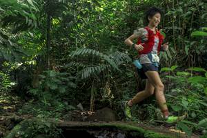 BIB: 
                            <button type="button" onclick="openModal(24841505)" class="btn btn-primary btn-sm float-right btn-popup" data-toggle="modal" data-target=".modal-high-quality">
                        <i class="fas fa-shopping-cart"></i> Add to Cart
                    </button>
                                            <button type="button" onclick="isThisMe(24841505, true)" class="btn btn-success btn-sm float-right btn-popup btn-isme hidden" data-toggle="tooltip" data-placement="bottom" title="นี่คือรูปของคุณใช่ไหม คลิกที่นี่เพื่อเอาเข้าอัลบั้ม">
                        <i class="fas fa-plus"></i> Add to album
                    </button>
                    <button type="button" onclick="isThisMe(24841505, false)" class="btn btn-warning btn-sm float-right btn-popup btn-isnotme hidden">
                        <i class="fas fa-ban"></i> Remove from album
                    </button>