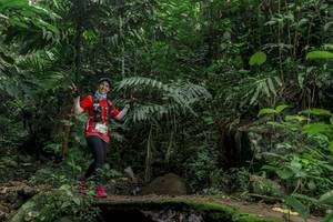 BIB: 
                            <button type="button" onclick="openModal(24841234)" class="btn btn-primary btn-sm float-right btn-popup" data-toggle="modal" data-target=".modal-high-quality">
                        <i class="fas fa-shopping-cart"></i> Add to Cart
                    </button>
                                            <button type="button" onclick="isThisMe(24841234, true)" class="btn btn-success btn-sm float-right btn-popup btn-isme hidden" data-toggle="tooltip" data-placement="bottom" title="นี่คือรูปของคุณใช่ไหม คลิกที่นี่เพื่อเอาเข้าอัลบั้ม">
                        <i class="fas fa-plus"></i> Add to album
                    </button>
                    <button type="button" onclick="isThisMe(24841234, false)" class="btn btn-warning btn-sm float-right btn-popup btn-isnotme hidden">
                        <i class="fas fa-ban"></i> Remove from album
                    </button>