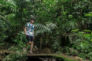 BIB: 
                            <button type="button" onclick="openModal(24841214)" class="btn btn-primary btn-sm float-right btn-popup" data-toggle="modal" data-target=".modal-high-quality">
                        <i class="fas fa-shopping-cart"></i> Add to Cart
                    </button>
                                            <button type="button" onclick="isThisMe(24841214, true)" class="btn btn-success btn-sm float-right btn-popup btn-isme hidden" data-toggle="tooltip" data-placement="bottom" title="นี่คือรูปของคุณใช่ไหม คลิกที่นี่เพื่อเอาเข้าอัลบั้ม">
                        <i class="fas fa-plus"></i> Add to album
                    </button>
                    <button type="button" onclick="isThisMe(24841214, false)" class="btn btn-warning btn-sm float-right btn-popup btn-isnotme hidden">
                        <i class="fas fa-ban"></i> Remove from album
                    </button>