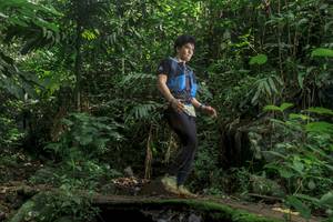 BIB: 
                            <button type="button" onclick="openModal(24841318)" class="btn btn-primary btn-sm float-right btn-popup" data-toggle="modal" data-target=".modal-high-quality">
                        <i class="fas fa-shopping-cart"></i> Add to Cart
                    </button>
                                            <button type="button" onclick="isThisMe(24841318, true)" class="btn btn-success btn-sm float-right btn-popup btn-isme hidden" data-toggle="tooltip" data-placement="bottom" title="นี่คือรูปของคุณใช่ไหม คลิกที่นี่เพื่อเอาเข้าอัลบั้ม">
                        <i class="fas fa-plus"></i> Add to album
                    </button>
                    <button type="button" onclick="isThisMe(24841318, false)" class="btn btn-warning btn-sm float-right btn-popup btn-isnotme hidden">
                        <i class="fas fa-ban"></i> Remove from album
                    </button>