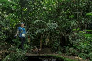 BIB: 
                            <button type="button" onclick="openModal(24841349)" class="btn btn-primary btn-sm float-right btn-popup" data-toggle="modal" data-target=".modal-high-quality">
                        <i class="fas fa-shopping-cart"></i> Add to Cart
                    </button>
                                            <button type="button" onclick="isThisMe(24841349, true)" class="btn btn-success btn-sm float-right btn-popup btn-isme hidden" data-toggle="tooltip" data-placement="bottom" title="นี่คือรูปของคุณใช่ไหม คลิกที่นี่เพื่อเอาเข้าอัลบั้ม">
                        <i class="fas fa-plus"></i> Add to album
                    </button>
                    <button type="button" onclick="isThisMe(24841349, false)" class="btn btn-warning btn-sm float-right btn-popup btn-isnotme hidden">
                        <i class="fas fa-ban"></i> Remove from album
                    </button>