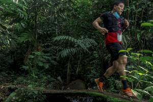 BIB: 
                            <button type="button" onclick="openModal(24840190)" class="btn btn-primary btn-sm float-right btn-popup" data-toggle="modal" data-target=".modal-high-quality">
                        <i class="fas fa-shopping-cart"></i> Add to Cart
                    </button>
                                            <button type="button" onclick="isThisMe(24840190, true)" class="btn btn-success btn-sm float-right btn-popup btn-isme hidden" data-toggle="tooltip" data-placement="bottom" title="นี่คือรูปของคุณใช่ไหม คลิกที่นี่เพื่อเอาเข้าอัลบั้ม">
                        <i class="fas fa-plus"></i> Add to album
                    </button>
                    <button type="button" onclick="isThisMe(24840190, false)" class="btn btn-warning btn-sm float-right btn-popup btn-isnotme hidden">
                        <i class="fas fa-ban"></i> Remove from album
                    </button>