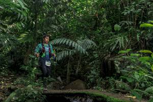 BIB: 
                            <button type="button" onclick="openModal(24840940)" class="btn btn-primary btn-sm float-right btn-popup" data-toggle="modal" data-target=".modal-high-quality">
                        <i class="fas fa-shopping-cart"></i> Add to Cart
                    </button>
                                            <button type="button" onclick="isThisMe(24840940, true)" class="btn btn-success btn-sm float-right btn-popup btn-isme hidden" data-toggle="tooltip" data-placement="bottom" title="นี่คือรูปของคุณใช่ไหม คลิกที่นี่เพื่อเอาเข้าอัลบั้ม">
                        <i class="fas fa-plus"></i> Add to album
                    </button>
                    <button type="button" onclick="isThisMe(24840940, false)" class="btn btn-warning btn-sm float-right btn-popup btn-isnotme hidden">
                        <i class="fas fa-ban"></i> Remove from album
                    </button>