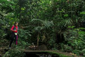 BIB: 
                            <button type="button" onclick="openModal(24841335)" class="btn btn-primary btn-sm float-right btn-popup" data-toggle="modal" data-target=".modal-high-quality">
                        <i class="fas fa-shopping-cart"></i> Add to Cart
                    </button>
                                            <button type="button" onclick="isThisMe(24841335, true)" class="btn btn-success btn-sm float-right btn-popup btn-isme hidden" data-toggle="tooltip" data-placement="bottom" title="นี่คือรูปของคุณใช่ไหม คลิกที่นี่เพื่อเอาเข้าอัลบั้ม">
                        <i class="fas fa-plus"></i> Add to album
                    </button>
                    <button type="button" onclick="isThisMe(24841335, false)" class="btn btn-warning btn-sm float-right btn-popup btn-isnotme hidden">
                        <i class="fas fa-ban"></i> Remove from album
                    </button>