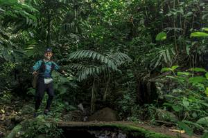 BIB: 
                            <button type="button" onclick="openModal(24840851)" class="btn btn-primary btn-sm float-right btn-popup" data-toggle="modal" data-target=".modal-high-quality">
                        <i class="fas fa-shopping-cart"></i> Add to Cart
                    </button>
                                            <button type="button" onclick="isThisMe(24840851, true)" class="btn btn-success btn-sm float-right btn-popup btn-isme hidden" data-toggle="tooltip" data-placement="bottom" title="นี่คือรูปของคุณใช่ไหม คลิกที่นี่เพื่อเอาเข้าอัลบั้ม">
                        <i class="fas fa-plus"></i> Add to album
                    </button>
                    <button type="button" onclick="isThisMe(24840851, false)" class="btn btn-warning btn-sm float-right btn-popup btn-isnotme hidden">
                        <i class="fas fa-ban"></i> Remove from album
                    </button>