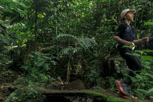 BIB: 
                            <button type="button" onclick="openModal(24841406)" class="btn btn-primary btn-sm float-right btn-popup" data-toggle="modal" data-target=".modal-high-quality">
                        <i class="fas fa-shopping-cart"></i> Add to Cart
                    </button>
                                            <button type="button" onclick="isThisMe(24841406, true)" class="btn btn-success btn-sm float-right btn-popup btn-isme hidden" data-toggle="tooltip" data-placement="bottom" title="นี่คือรูปของคุณใช่ไหม คลิกที่นี่เพื่อเอาเข้าอัลบั้ม">
                        <i class="fas fa-plus"></i> Add to album
                    </button>
                    <button type="button" onclick="isThisMe(24841406, false)" class="btn btn-warning btn-sm float-right btn-popup btn-isnotme hidden">
                        <i class="fas fa-ban"></i> Remove from album
                    </button>