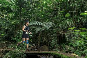 BIB: 
                            <button type="button" onclick="openModal(24841134)" class="btn btn-primary btn-sm float-right btn-popup" data-toggle="modal" data-target=".modal-high-quality">
                        <i class="fas fa-shopping-cart"></i> Add to Cart
                    </button>
                                            <button type="button" onclick="isThisMe(24841134, true)" class="btn btn-success btn-sm float-right btn-popup btn-isme hidden" data-toggle="tooltip" data-placement="bottom" title="นี่คือรูปของคุณใช่ไหม คลิกที่นี่เพื่อเอาเข้าอัลบั้ม">
                        <i class="fas fa-plus"></i> Add to album
                    </button>
                    <button type="button" onclick="isThisMe(24841134, false)" class="btn btn-warning btn-sm float-right btn-popup btn-isnotme hidden">
                        <i class="fas fa-ban"></i> Remove from album
                    </button>