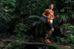 BIB: 
                            <button type="button" onclick="openModal(24840049)" class="btn btn-primary btn-sm float-right btn-popup" data-toggle="modal" data-target=".modal-high-quality">
                        <i class="fas fa-shopping-cart"></i> Add to Cart
                    </button>
                                            <button type="button" onclick="isThisMe(24840049, true)" class="btn btn-success btn-sm float-right btn-popup btn-isme hidden" data-toggle="tooltip" data-placement="bottom" title="นี่คือรูปของคุณใช่ไหม คลิกที่นี่เพื่อเอาเข้าอัลบั้ม">
                        <i class="fas fa-plus"></i> Add to album
                    </button>
                    <button type="button" onclick="isThisMe(24840049, false)" class="btn btn-warning btn-sm float-right btn-popup btn-isnotme hidden">
                        <i class="fas fa-ban"></i> Remove from album
                    </button>