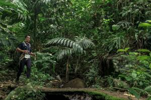 BIB: 
                            <button type="button" onclick="openModal(24841200)" class="btn btn-primary btn-sm float-right btn-popup" data-toggle="modal" data-target=".modal-high-quality">
                        <i class="fas fa-shopping-cart"></i> Add to Cart
                    </button>
                                            <button type="button" onclick="isThisMe(24841200, true)" class="btn btn-success btn-sm float-right btn-popup btn-isme hidden" data-toggle="tooltip" data-placement="bottom" title="นี่คือรูปของคุณใช่ไหม คลิกที่นี่เพื่อเอาเข้าอัลบั้ม">
                        <i class="fas fa-plus"></i> Add to album
                    </button>
                    <button type="button" onclick="isThisMe(24841200, false)" class="btn btn-warning btn-sm float-right btn-popup btn-isnotme hidden">
                        <i class="fas fa-ban"></i> Remove from album
                    </button>