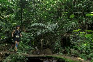 BIB: 
                            <button type="button" onclick="openModal(24841132)" class="btn btn-primary btn-sm float-right btn-popup" data-toggle="modal" data-target=".modal-high-quality">
                        <i class="fas fa-shopping-cart"></i> Add to Cart
                    </button>
                                            <button type="button" onclick="isThisMe(24841132, true)" class="btn btn-success btn-sm float-right btn-popup btn-isme hidden" data-toggle="tooltip" data-placement="bottom" title="นี่คือรูปของคุณใช่ไหม คลิกที่นี่เพื่อเอาเข้าอัลบั้ม">
                        <i class="fas fa-plus"></i> Add to album
                    </button>
                    <button type="button" onclick="isThisMe(24841132, false)" class="btn btn-warning btn-sm float-right btn-popup btn-isnotme hidden">
                        <i class="fas fa-ban"></i> Remove from album
                    </button>