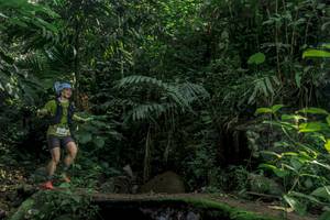 BIB: 
                            <button type="button" onclick="openModal(24840560)" class="btn btn-primary btn-sm float-right btn-popup" data-toggle="modal" data-target=".modal-high-quality">
                        <i class="fas fa-shopping-cart"></i> Add to Cart
                    </button>
                                            <button type="button" onclick="isThisMe(24840560, true)" class="btn btn-success btn-sm float-right btn-popup btn-isme hidden" data-toggle="tooltip" data-placement="bottom" title="นี่คือรูปของคุณใช่ไหม คลิกที่นี่เพื่อเอาเข้าอัลบั้ม">
                        <i class="fas fa-plus"></i> Add to album
                    </button>
                    <button type="button" onclick="isThisMe(24840560, false)" class="btn btn-warning btn-sm float-right btn-popup btn-isnotme hidden">
                        <i class="fas fa-ban"></i> Remove from album
                    </button>