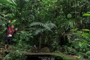 BIB: 
                            <button type="button" onclick="openModal(24840967)" class="btn btn-primary btn-sm float-right btn-popup" data-toggle="modal" data-target=".modal-high-quality">
                        <i class="fas fa-shopping-cart"></i> Add to Cart
                    </button>
                                            <button type="button" onclick="isThisMe(24840967, true)" class="btn btn-success btn-sm float-right btn-popup btn-isme hidden" data-toggle="tooltip" data-placement="bottom" title="นี่คือรูปของคุณใช่ไหม คลิกที่นี่เพื่อเอาเข้าอัลบั้ม">
                        <i class="fas fa-plus"></i> Add to album
                    </button>
                    <button type="button" onclick="isThisMe(24840967, false)" class="btn btn-warning btn-sm float-right btn-popup btn-isnotme hidden">
                        <i class="fas fa-ban"></i> Remove from album
                    </button>