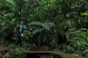 BIB: 
                            <button type="button" onclick="openModal(24840937)" class="btn btn-primary btn-sm float-right btn-popup" data-toggle="modal" data-target=".modal-high-quality">
                        <i class="fas fa-shopping-cart"></i> Add to Cart
                    </button>
                                            <button type="button" onclick="isThisMe(24840937, true)" class="btn btn-success btn-sm float-right btn-popup btn-isme hidden" data-toggle="tooltip" data-placement="bottom" title="นี่คือรูปของคุณใช่ไหม คลิกที่นี่เพื่อเอาเข้าอัลบั้ม">
                        <i class="fas fa-plus"></i> Add to album
                    </button>
                    <button type="button" onclick="isThisMe(24840937, false)" class="btn btn-warning btn-sm float-right btn-popup btn-isnotme hidden">
                        <i class="fas fa-ban"></i> Remove from album
                    </button>