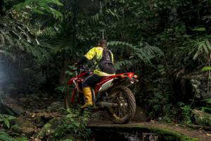 BIB: 
                            <button type="button" onclick="openModal(24839176)" class="btn btn-primary btn-sm float-right btn-popup" data-toggle="modal" data-target=".modal-high-quality">
                        <i class="fas fa-shopping-cart"></i> Add to Cart
                    </button>
                                            <button type="button" onclick="isThisMe(24839176, true)" class="btn btn-success btn-sm float-right btn-popup btn-isme hidden" data-toggle="tooltip" data-placement="bottom" title="นี่คือรูปของคุณใช่ไหม คลิกที่นี่เพื่อเอาเข้าอัลบั้ม">
                        <i class="fas fa-plus"></i> Add to album
                    </button>
                    <button type="button" onclick="isThisMe(24839176, false)" class="btn btn-warning btn-sm float-right btn-popup btn-isnotme hidden">
                        <i class="fas fa-ban"></i> Remove from album
                    </button>