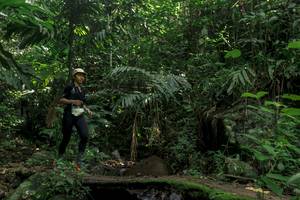 BIB: 
                            <button type="button" onclick="openModal(24841400)" class="btn btn-primary btn-sm float-right btn-popup" data-toggle="modal" data-target=".modal-high-quality">
                        <i class="fas fa-shopping-cart"></i> Add to Cart
                    </button>
                                            <button type="button" onclick="isThisMe(24841400, true)" class="btn btn-success btn-sm float-right btn-popup btn-isme hidden" data-toggle="tooltip" data-placement="bottom" title="นี่คือรูปของคุณใช่ไหม คลิกที่นี่เพื่อเอาเข้าอัลบั้ม">
                        <i class="fas fa-plus"></i> Add to album
                    </button>
                    <button type="button" onclick="isThisMe(24841400, false)" class="btn btn-warning btn-sm float-right btn-popup btn-isnotme hidden">
                        <i class="fas fa-ban"></i> Remove from album
                    </button>