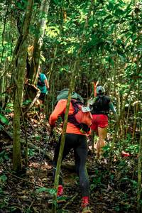 BIB: 
                            <button type="button" onclick="openModal(24778517)" class="btn btn-primary btn-sm float-right btn-popup" data-toggle="modal" data-target=".modal-high-quality">
                        <i class="fas fa-shopping-cart"></i> Add to Cart
                    </button>
                                            <button type="button" onclick="isThisMe(24778517, true)" class="btn btn-success btn-sm float-right btn-popup btn-isme hidden" data-toggle="tooltip" data-placement="bottom" title="นี่คือรูปของคุณใช่ไหม คลิกที่นี่เพื่อเอาเข้าอัลบั้ม">
                        <i class="fas fa-plus"></i> Add to album
                    </button>
                    <button type="button" onclick="isThisMe(24778517, false)" class="btn btn-warning btn-sm float-right btn-popup btn-isnotme hidden">
                        <i class="fas fa-ban"></i> Remove from album
                    </button>