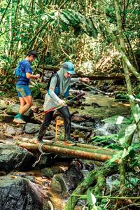 BIB: 
                            <button type="button" onclick="openModal(24773420)" class="btn btn-primary btn-sm float-right btn-popup" data-toggle="modal" data-target=".modal-high-quality">
                        <i class="fas fa-shopping-cart"></i> Add to Cart
                    </button>
                                            <button type="button" onclick="isThisMe(24773420, true)" class="btn btn-success btn-sm float-right btn-popup btn-isme hidden" data-toggle="tooltip" data-placement="bottom" title="นี่คือรูปของคุณใช่ไหม คลิกที่นี่เพื่อเอาเข้าอัลบั้ม">
                        <i class="fas fa-plus"></i> Add to album
                    </button>
                    <button type="button" onclick="isThisMe(24773420, false)" class="btn btn-warning btn-sm float-right btn-popup btn-isnotme hidden">
                        <i class="fas fa-ban"></i> Remove from album
                    </button>