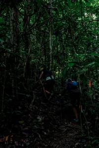 BIB: 
                            <button type="button" onclick="openModal(24766440)" class="btn btn-primary btn-sm float-right btn-popup" data-toggle="modal" data-target=".modal-high-quality">
                        <i class="fas fa-shopping-cart"></i> Add to Cart
                    </button>
                                            <button type="button" onclick="isThisMe(24766440, true)" class="btn btn-success btn-sm float-right btn-popup btn-isme hidden" data-toggle="tooltip" data-placement="bottom" title="นี่คือรูปของคุณใช่ไหม คลิกที่นี่เพื่อเอาเข้าอัลบั้ม">
                        <i class="fas fa-plus"></i> Add to album
                    </button>
                    <button type="button" onclick="isThisMe(24766440, false)" class="btn btn-warning btn-sm float-right btn-popup btn-isnotme hidden">
                        <i class="fas fa-ban"></i> Remove from album
                    </button>