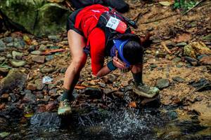 BIB: 
                            <button type="button" onclick="openModal(24768058)" class="btn btn-primary btn-sm float-right btn-popup" data-toggle="modal" data-target=".modal-high-quality">
                        <i class="fas fa-shopping-cart"></i> Add to Cart
                    </button>
                                            <button type="button" onclick="isThisMe(24768058, true)" class="btn btn-success btn-sm float-right btn-popup btn-isme hidden" data-toggle="tooltip" data-placement="bottom" title="นี่คือรูปของคุณใช่ไหม คลิกที่นี่เพื่อเอาเข้าอัลบั้ม">
                        <i class="fas fa-plus"></i> Add to album
                    </button>
                    <button type="button" onclick="isThisMe(24768058, false)" class="btn btn-warning btn-sm float-right btn-popup btn-isnotme hidden">
                        <i class="fas fa-ban"></i> Remove from album
                    </button>