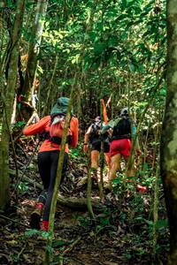 BIB: 
                            <button type="button" onclick="openModal(24778548)" class="btn btn-primary btn-sm float-right btn-popup" data-toggle="modal" data-target=".modal-high-quality">
                        <i class="fas fa-shopping-cart"></i> Add to Cart
                    </button>
                                            <button type="button" onclick="isThisMe(24778548, true)" class="btn btn-success btn-sm float-right btn-popup btn-isme hidden" data-toggle="tooltip" data-placement="bottom" title="นี่คือรูปของคุณใช่ไหม คลิกที่นี่เพื่อเอาเข้าอัลบั้ม">
                        <i class="fas fa-plus"></i> Add to album
                    </button>
                    <button type="button" onclick="isThisMe(24778548, false)" class="btn btn-warning btn-sm float-right btn-popup btn-isnotme hidden">
                        <i class="fas fa-ban"></i> Remove from album
                    </button>