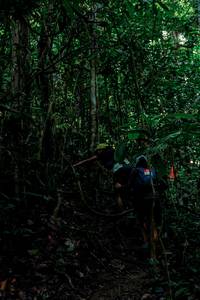 BIB: 
                            <button type="button" onclick="openModal(24766386)" class="btn btn-primary btn-sm float-right btn-popup" data-toggle="modal" data-target=".modal-high-quality">
                        <i class="fas fa-shopping-cart"></i> Add to Cart
                    </button>
                                            <button type="button" onclick="isThisMe(24766386, true)" class="btn btn-success btn-sm float-right btn-popup btn-isme hidden" data-toggle="tooltip" data-placement="bottom" title="นี่คือรูปของคุณใช่ไหม คลิกที่นี่เพื่อเอาเข้าอัลบั้ม">
                        <i class="fas fa-plus"></i> Add to album
                    </button>
                    <button type="button" onclick="isThisMe(24766386, false)" class="btn btn-warning btn-sm float-right btn-popup btn-isnotme hidden">
                        <i class="fas fa-ban"></i> Remove from album
                    </button>