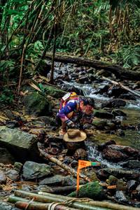 BIB: 
                            <button type="button" onclick="openModal(24776279)" class="btn btn-primary btn-sm float-right btn-popup" data-toggle="modal" data-target=".modal-high-quality">
                        <i class="fas fa-shopping-cart"></i> Add to Cart
                    </button>
                                            <button type="button" onclick="isThisMe(24776279, true)" class="btn btn-success btn-sm float-right btn-popup btn-isme hidden" data-toggle="tooltip" data-placement="bottom" title="นี่คือรูปของคุณใช่ไหม คลิกที่นี่เพื่อเอาเข้าอัลบั้ม">
                        <i class="fas fa-plus"></i> Add to album
                    </button>
                    <button type="button" onclick="isThisMe(24776279, false)" class="btn btn-warning btn-sm float-right btn-popup btn-isnotme hidden">
                        <i class="fas fa-ban"></i> Remove from album
                    </button>