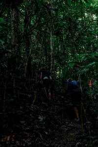 BIB: 
                            <button type="button" onclick="openModal(24766454)" class="btn btn-primary btn-sm float-right btn-popup" data-toggle="modal" data-target=".modal-high-quality">
                        <i class="fas fa-shopping-cart"></i> Add to Cart
                    </button>
                                            <button type="button" onclick="isThisMe(24766454, true)" class="btn btn-success btn-sm float-right btn-popup btn-isme hidden" data-toggle="tooltip" data-placement="bottom" title="นี่คือรูปของคุณใช่ไหม คลิกที่นี่เพื่อเอาเข้าอัลบั้ม">
                        <i class="fas fa-plus"></i> Add to album
                    </button>
                    <button type="button" onclick="isThisMe(24766454, false)" class="btn btn-warning btn-sm float-right btn-popup btn-isnotme hidden">
                        <i class="fas fa-ban"></i> Remove from album
                    </button>