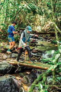 BIB: 
                            <button type="button" onclick="openModal(24773394)" class="btn btn-primary btn-sm float-right btn-popup" data-toggle="modal" data-target=".modal-high-quality">
                        <i class="fas fa-shopping-cart"></i> Add to Cart
                    </button>
                                            <button type="button" onclick="isThisMe(24773394, true)" class="btn btn-success btn-sm float-right btn-popup btn-isme hidden" data-toggle="tooltip" data-placement="bottom" title="นี่คือรูปของคุณใช่ไหม คลิกที่นี่เพื่อเอาเข้าอัลบั้ม">
                        <i class="fas fa-plus"></i> Add to album
                    </button>
                    <button type="button" onclick="isThisMe(24773394, false)" class="btn btn-warning btn-sm float-right btn-popup btn-isnotme hidden">
                        <i class="fas fa-ban"></i> Remove from album
                    </button>