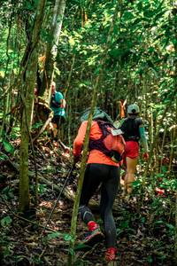 BIB: 
                            <button type="button" onclick="openModal(24778511)" class="btn btn-primary btn-sm float-right btn-popup" data-toggle="modal" data-target=".modal-high-quality">
                        <i class="fas fa-shopping-cart"></i> Add to Cart
                    </button>
                                            <button type="button" onclick="isThisMe(24778511, true)" class="btn btn-success btn-sm float-right btn-popup btn-isme hidden" data-toggle="tooltip" data-placement="bottom" title="นี่คือรูปของคุณใช่ไหม คลิกที่นี่เพื่อเอาเข้าอัลบั้ม">
                        <i class="fas fa-plus"></i> Add to album
                    </button>
                    <button type="button" onclick="isThisMe(24778511, false)" class="btn btn-warning btn-sm float-right btn-popup btn-isnotme hidden">
                        <i class="fas fa-ban"></i> Remove from album
                    </button>