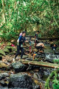 BIB: 
                            <button type="button" onclick="openModal(24774305)" class="btn btn-primary btn-sm float-right btn-popup" data-toggle="modal" data-target=".modal-high-quality">
                        <i class="fas fa-shopping-cart"></i> Add to Cart
                    </button>
                                            <button type="button" onclick="isThisMe(24774305, true)" class="btn btn-success btn-sm float-right btn-popup btn-isme hidden" data-toggle="tooltip" data-placement="bottom" title="นี่คือรูปของคุณใช่ไหม คลิกที่นี่เพื่อเอาเข้าอัลบั้ม">
                        <i class="fas fa-plus"></i> Add to album
                    </button>
                    <button type="button" onclick="isThisMe(24774305, false)" class="btn btn-warning btn-sm float-right btn-popup btn-isnotme hidden">
                        <i class="fas fa-ban"></i> Remove from album
                    </button>