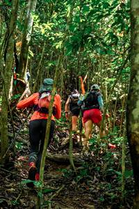 BIB: 
                            <button type="button" onclick="openModal(24778519)" class="btn btn-primary btn-sm float-right btn-popup" data-toggle="modal" data-target=".modal-high-quality">
                        <i class="fas fa-shopping-cart"></i> Add to Cart
                    </button>
                                            <button type="button" onclick="isThisMe(24778519, true)" class="btn btn-success btn-sm float-right btn-popup btn-isme hidden" data-toggle="tooltip" data-placement="bottom" title="นี่คือรูปของคุณใช่ไหม คลิกที่นี่เพื่อเอาเข้าอัลบั้ม">
                        <i class="fas fa-plus"></i> Add to album
                    </button>
                    <button type="button" onclick="isThisMe(24778519, false)" class="btn btn-warning btn-sm float-right btn-popup btn-isnotme hidden">
                        <i class="fas fa-ban"></i> Remove from album
                    </button>