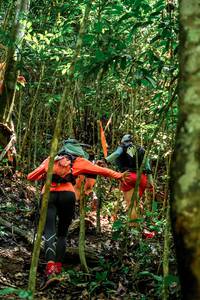 BIB: 
                            <button type="button" onclick="openModal(24778557)" class="btn btn-primary btn-sm float-right btn-popup" data-toggle="modal" data-target=".modal-high-quality">
                        <i class="fas fa-shopping-cart"></i> Add to Cart
                    </button>
                                            <button type="button" onclick="isThisMe(24778557, true)" class="btn btn-success btn-sm float-right btn-popup btn-isme hidden" data-toggle="tooltip" data-placement="bottom" title="นี่คือรูปของคุณใช่ไหม คลิกที่นี่เพื่อเอาเข้าอัลบั้ม">
                        <i class="fas fa-plus"></i> Add to album
                    </button>
                    <button type="button" onclick="isThisMe(24778557, false)" class="btn btn-warning btn-sm float-right btn-popup btn-isnotme hidden">
                        <i class="fas fa-ban"></i> Remove from album
                    </button>