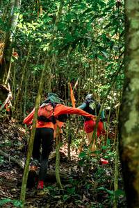 BIB: 
                            <button type="button" onclick="openModal(24778565)" class="btn btn-primary btn-sm float-right btn-popup" data-toggle="modal" data-target=".modal-high-quality">
                        <i class="fas fa-shopping-cart"></i> Add to Cart
                    </button>
                                            <button type="button" onclick="isThisMe(24778565, true)" class="btn btn-success btn-sm float-right btn-popup btn-isme hidden" data-toggle="tooltip" data-placement="bottom" title="นี่คือรูปของคุณใช่ไหม คลิกที่นี่เพื่อเอาเข้าอัลบั้ม">
                        <i class="fas fa-plus"></i> Add to album
                    </button>
                    <button type="button" onclick="isThisMe(24778565, false)" class="btn btn-warning btn-sm float-right btn-popup btn-isnotme hidden">
                        <i class="fas fa-ban"></i> Remove from album
                    </button>